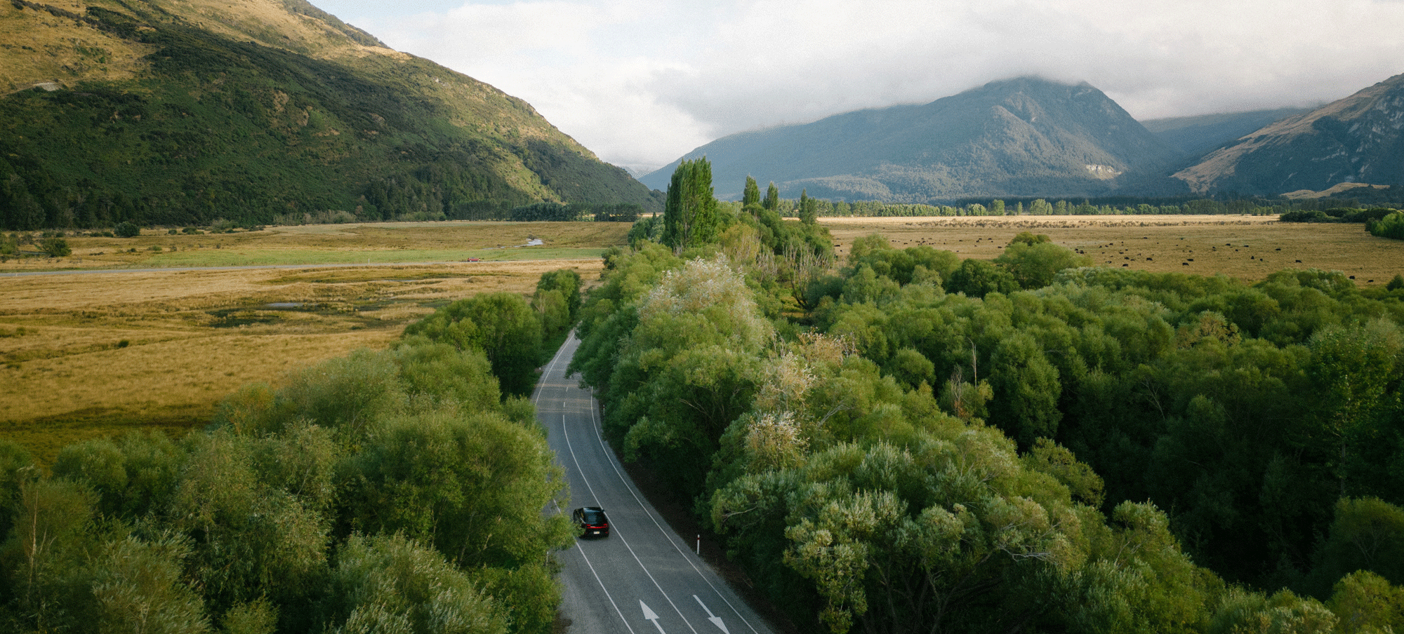 Monthly EV Update June 2023